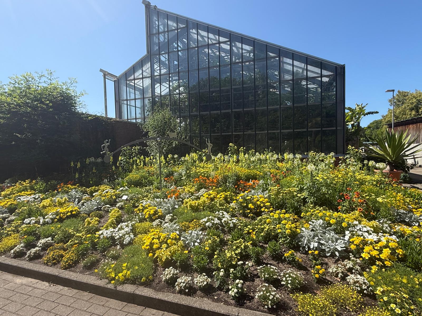 "Summer Pole-Shooting im Botanischen Garten Kiel" mit Foerdegrafie Malte Bickel - 180min.